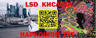 гидра Гагарин