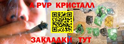 ECSTASY Гай