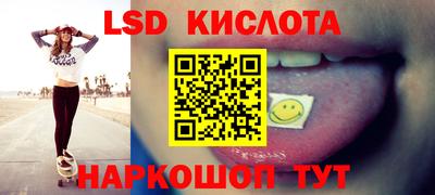 ECSTASY Гай