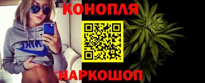 гашик Гатчина