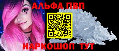 ECSTASY Гай